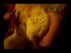 Blonde legal age teenager white wife became a zoophilia junkie after engaging in sex with a K9 in this porn clip